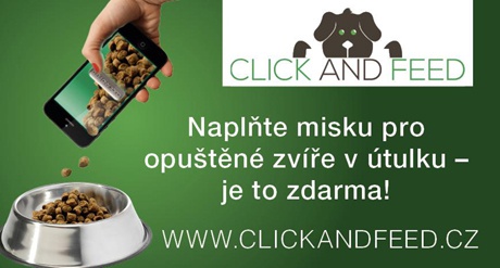 clickandfeed