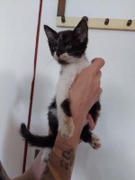 foto cel tlo
